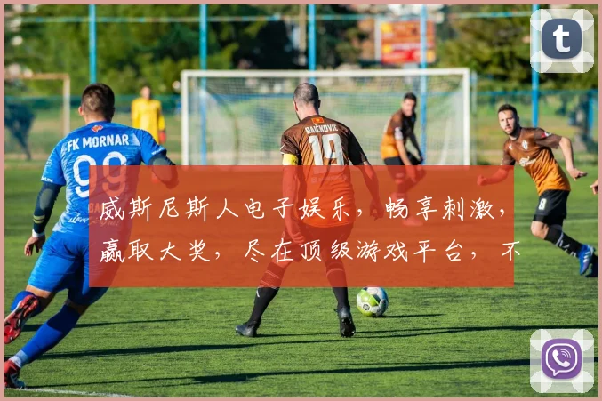 威斯尼斯人电子娱乐，畅享刺激，赢取大奖，尽在顶级游戏平台，不容错过