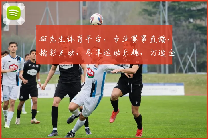 猫先生体育平台，专业赛事直播，精彩互动，尽享运动乐趣，打造全民健身新体验，一网打尽