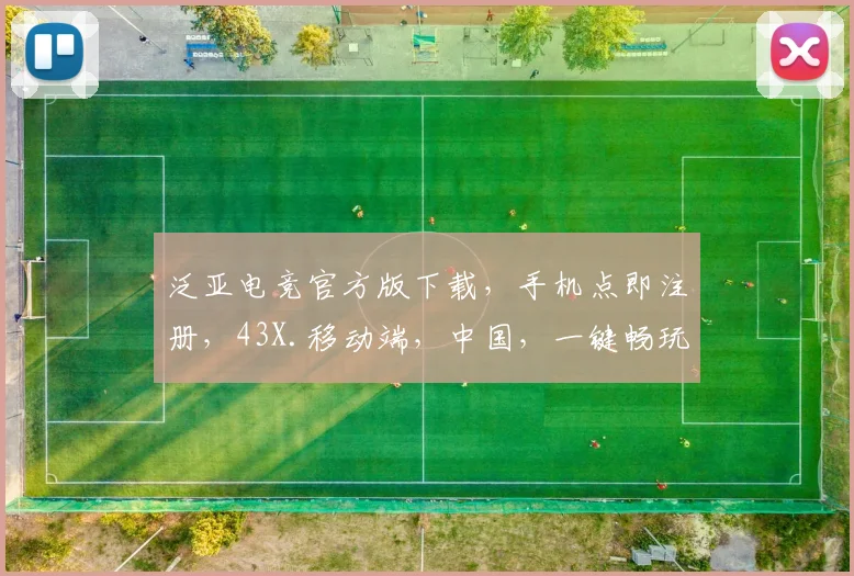 泛亚电竞官方版下载，手机点即注册，43X.移动端，中国，一键畅玩，体验非凡