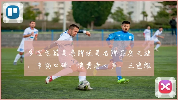 多宝电器是杂牌还是名牌品质之谜，市场口碑，消费者心声，三重维度揭晓
